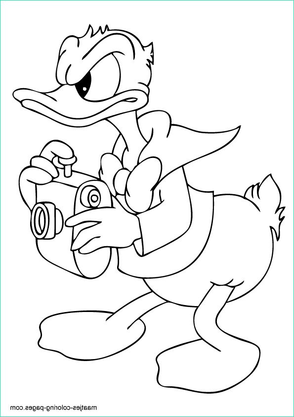 donald duck coloring page 050