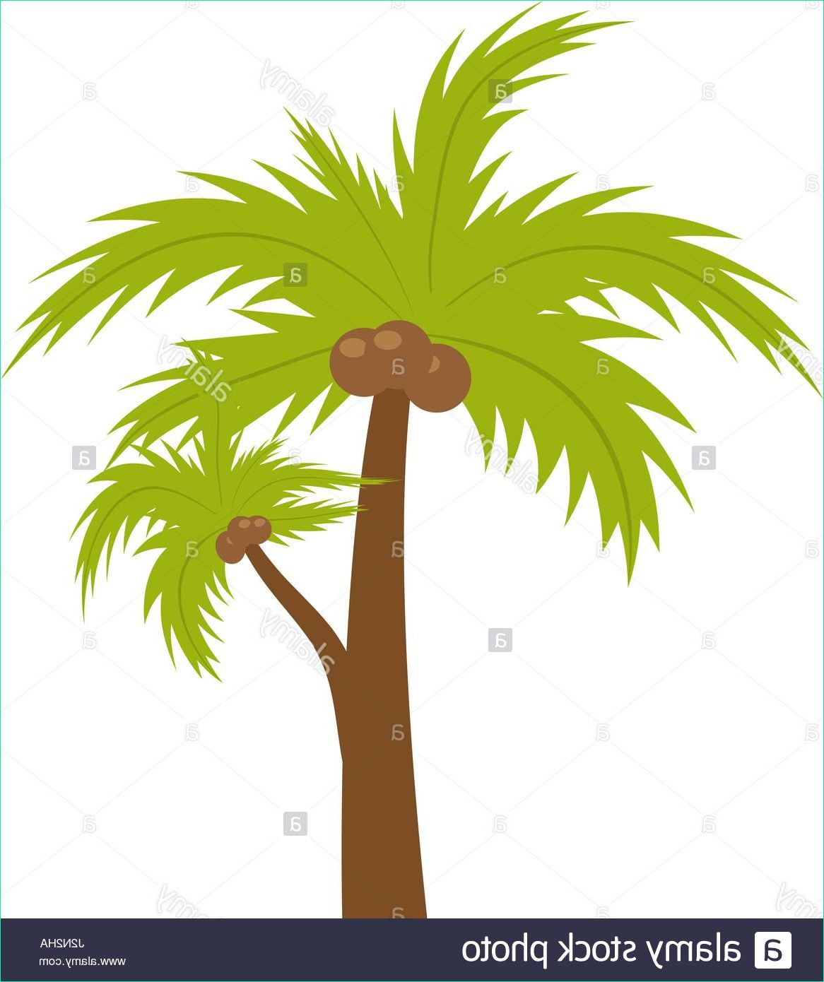 stock photo palm tree icon flat cartoon style summer beach concept isolated on