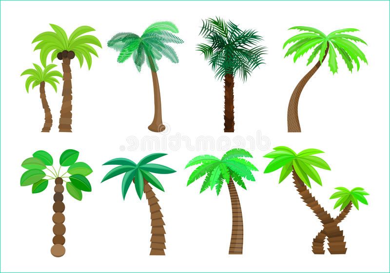 illustration stock vecteur stylisé palmier d île image