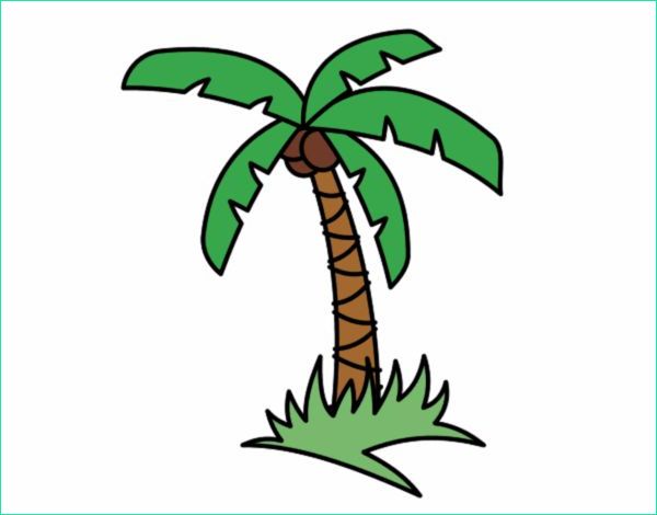 palmier tropical colorie par