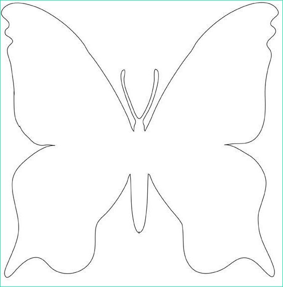 modele papillon a decouper ohbq tout dessin papillon a decouper