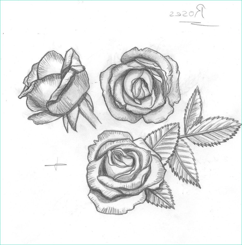 dessin roses du jardin