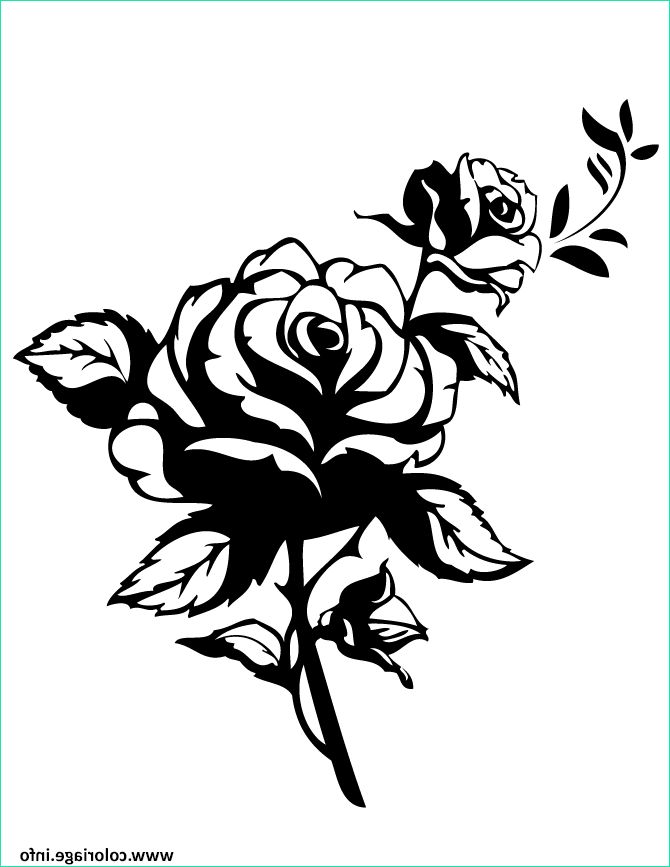 roses 72 coloriage dessin