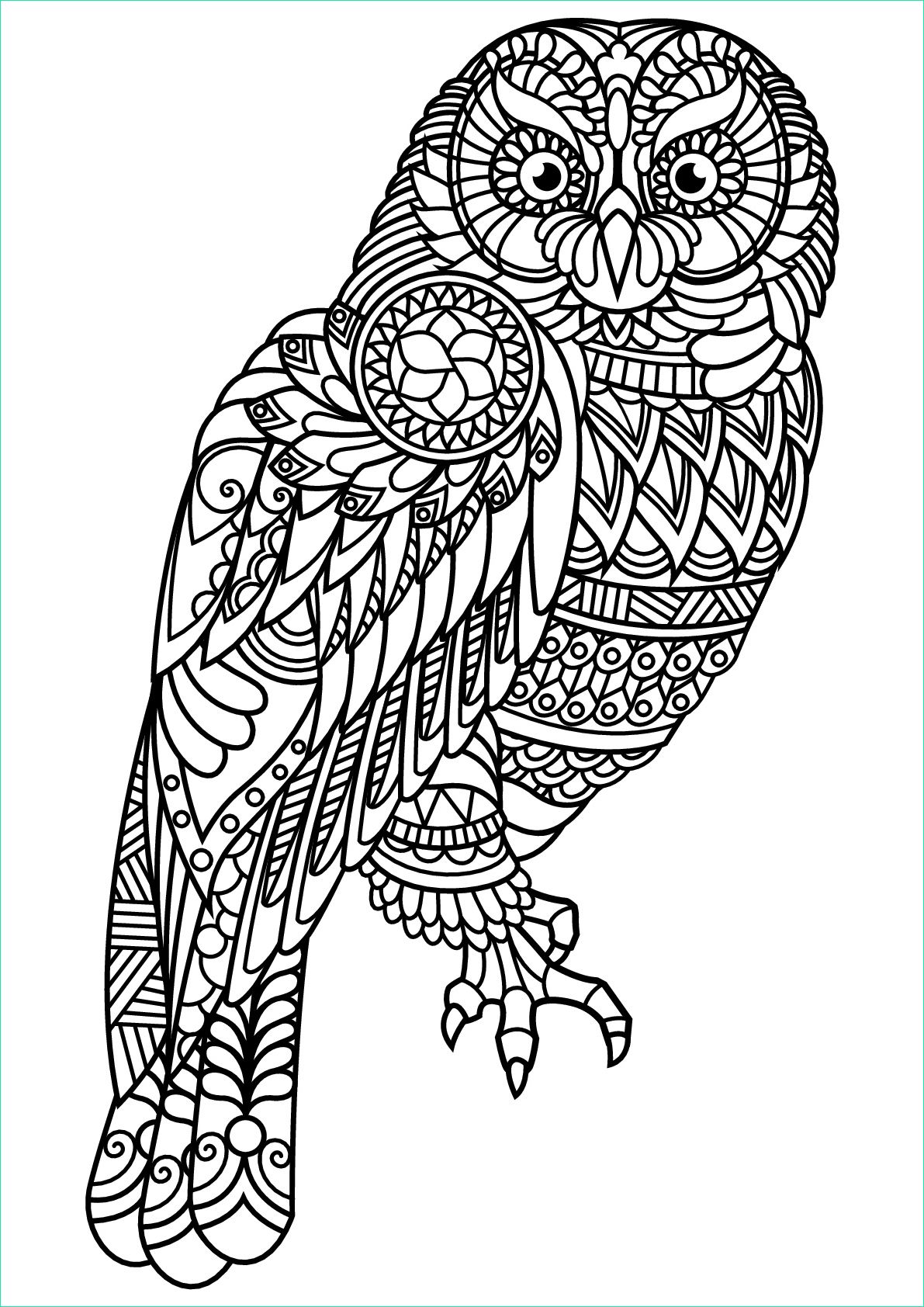 image=owls coloring free book owl 1