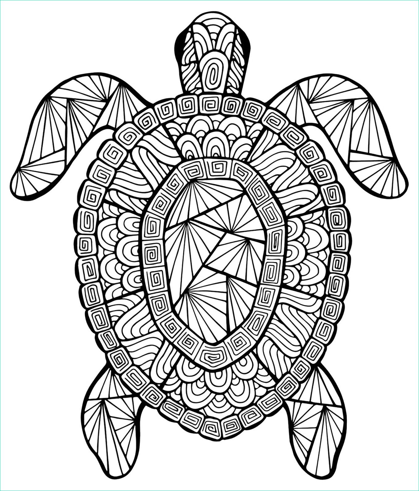 coloriage gratuits beau stock tortue coloriages d animaux mandalas zen and anti
