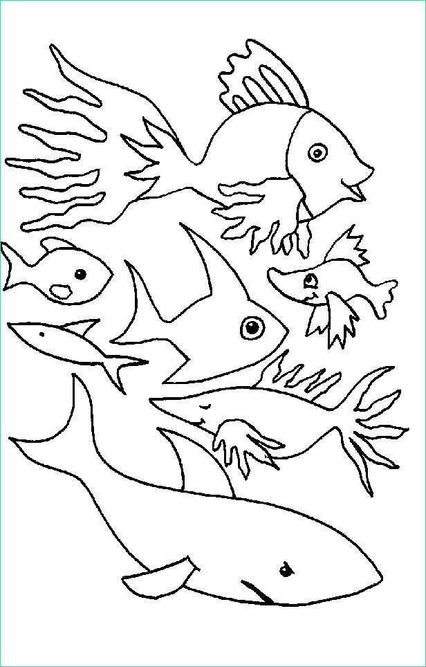 dessin a colorier gratuit poisson d avril