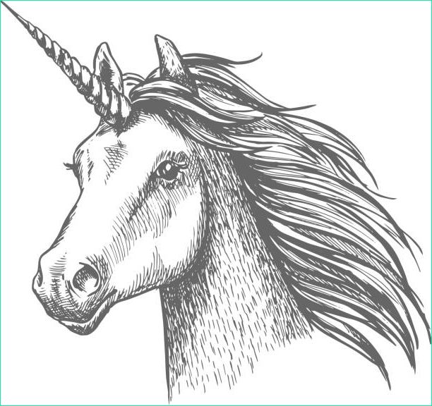 unicorn head